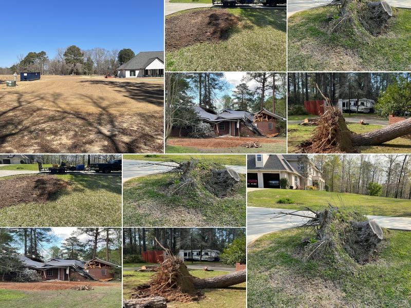 J & J Stump Removal