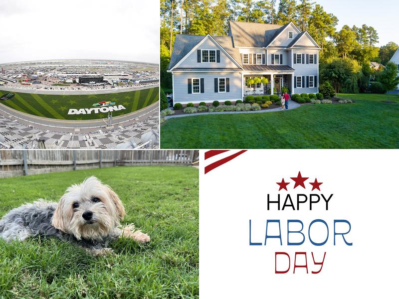 Trugreen Weed Control of Alexandria