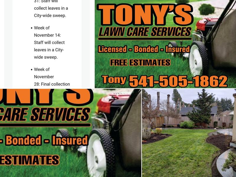 Tony S Lawn Service