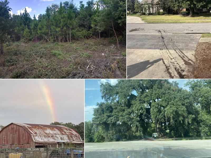 Arbor Care of Acadiana