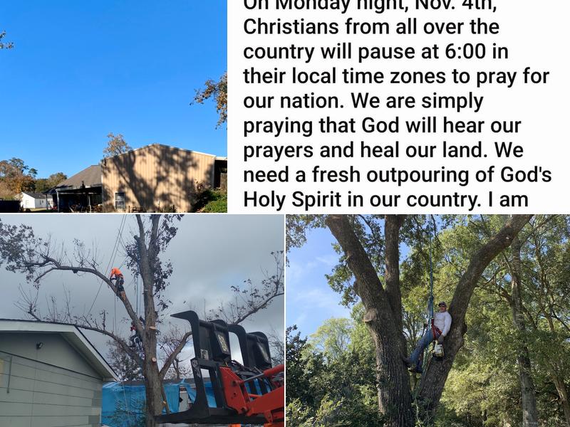 Falcon Tree Service LLC