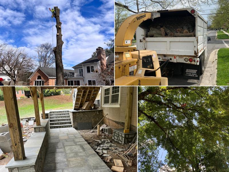 Herrera Tree Services and Landscaping LLC