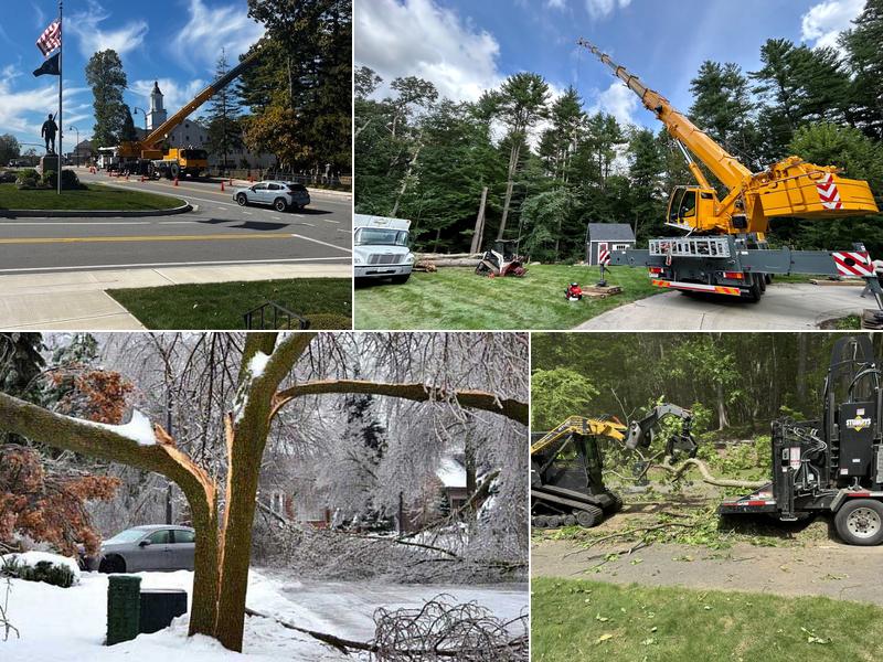 Stumpy's Tree Service