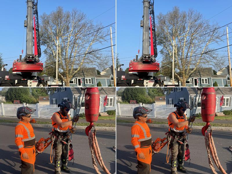 Arbor Tree Services Inc