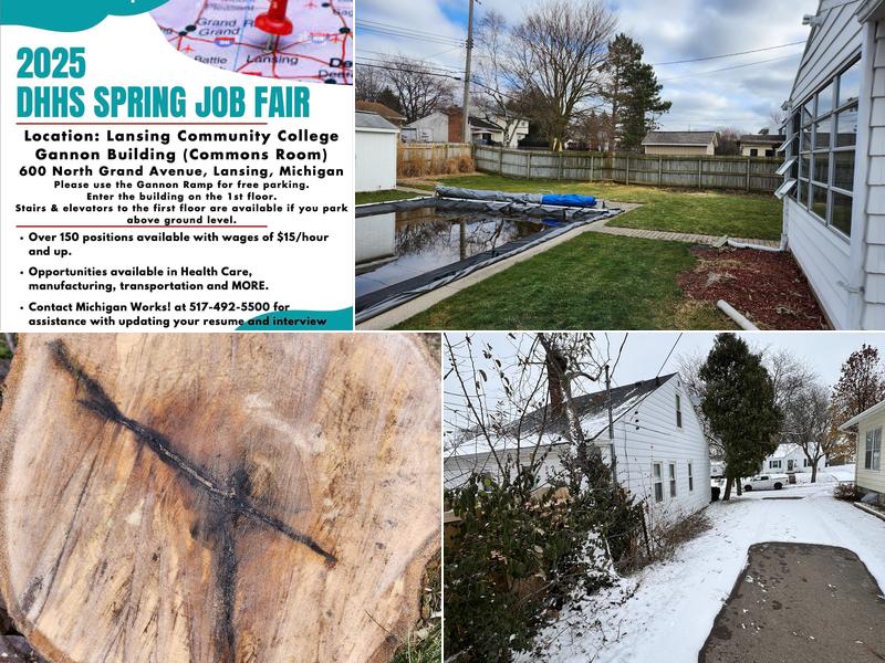 Wiseman Tree Service