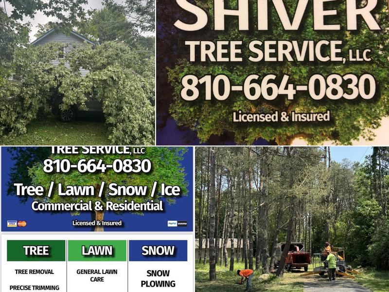 Shiver Tree Service