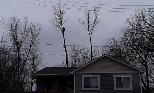 Bues Tree Care LLC 18118 263rd St, Fort Ripley Minnesota 56449