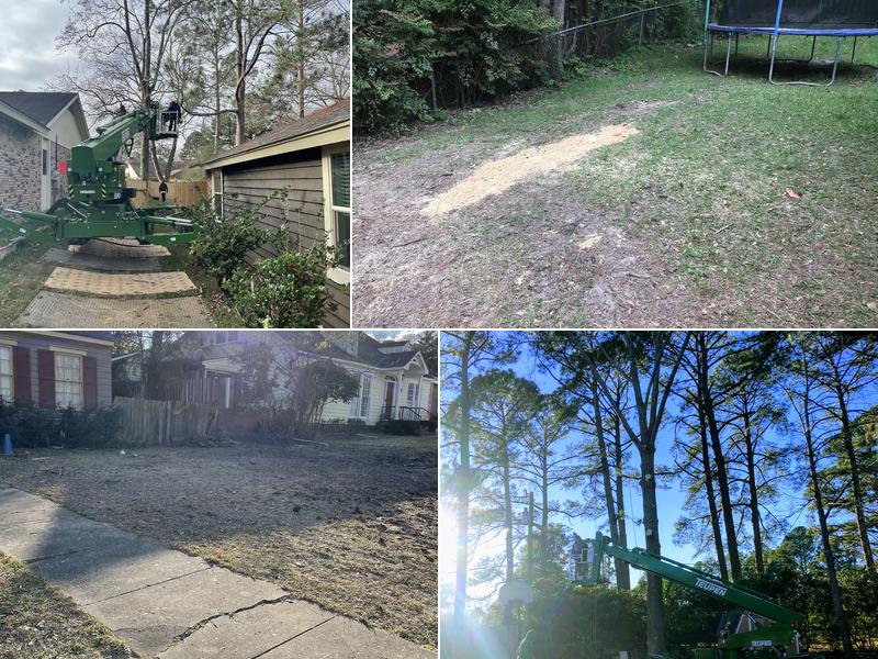 A-1 Discount Tree & Lawn Service