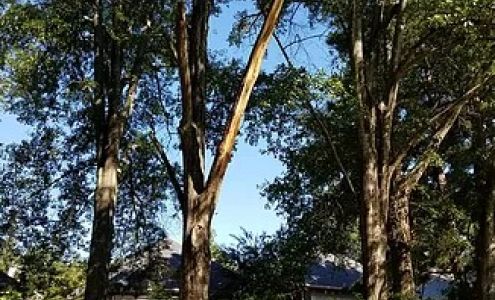 MS Lawnboy & Home Fixer Upper, LLC