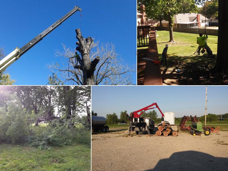 New Heights Tree Specialists