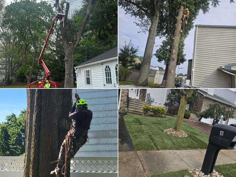 FRESNOS LANDSCAPING & TREE SERVICE LLC