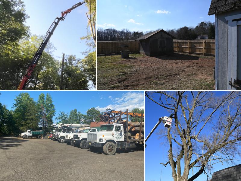 Forever Green Tree Service