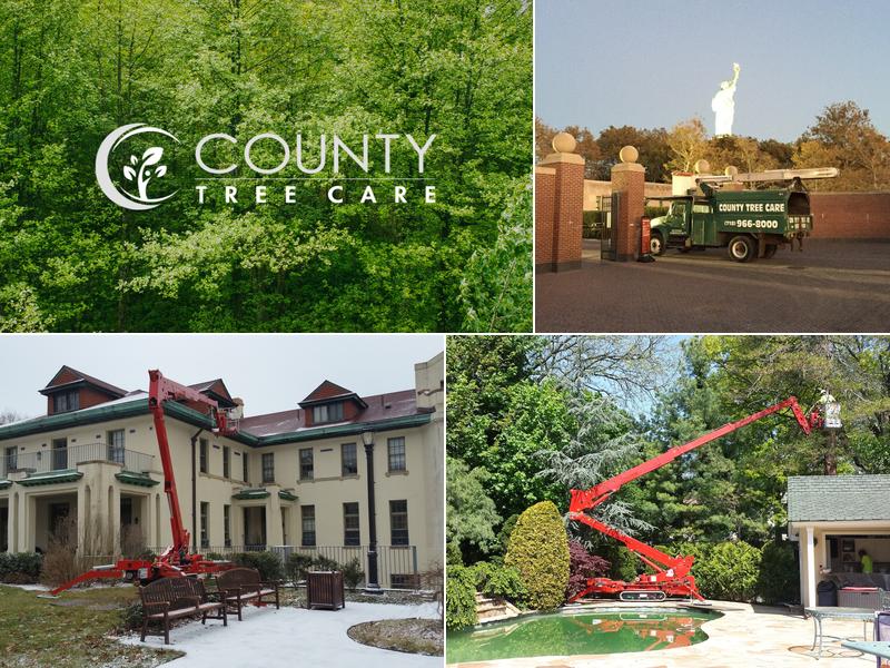 County Tree Care Inc.