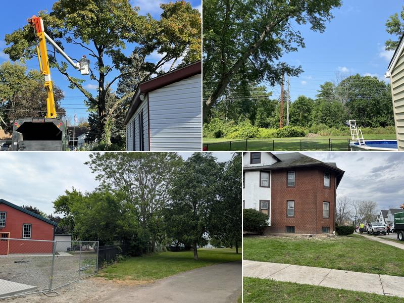 Heinz Tree and Land Services, LLC