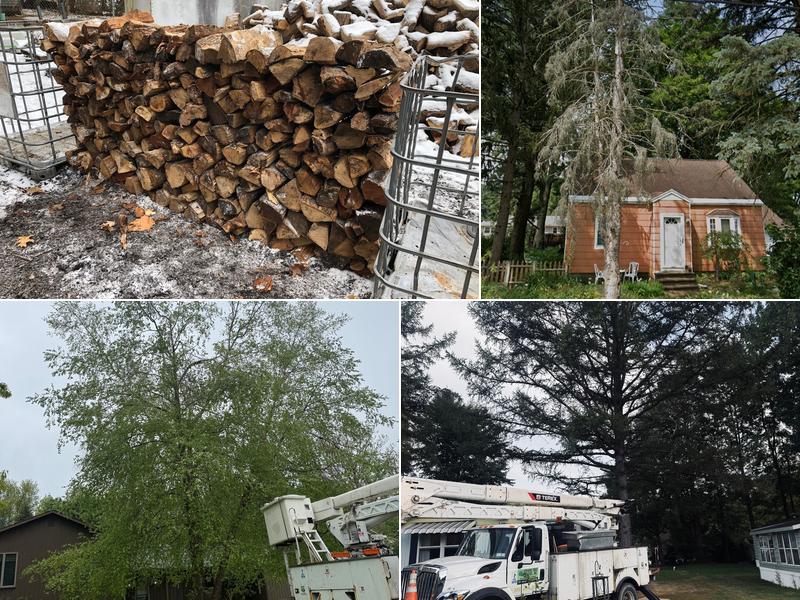 Stevens Tree Service Inc