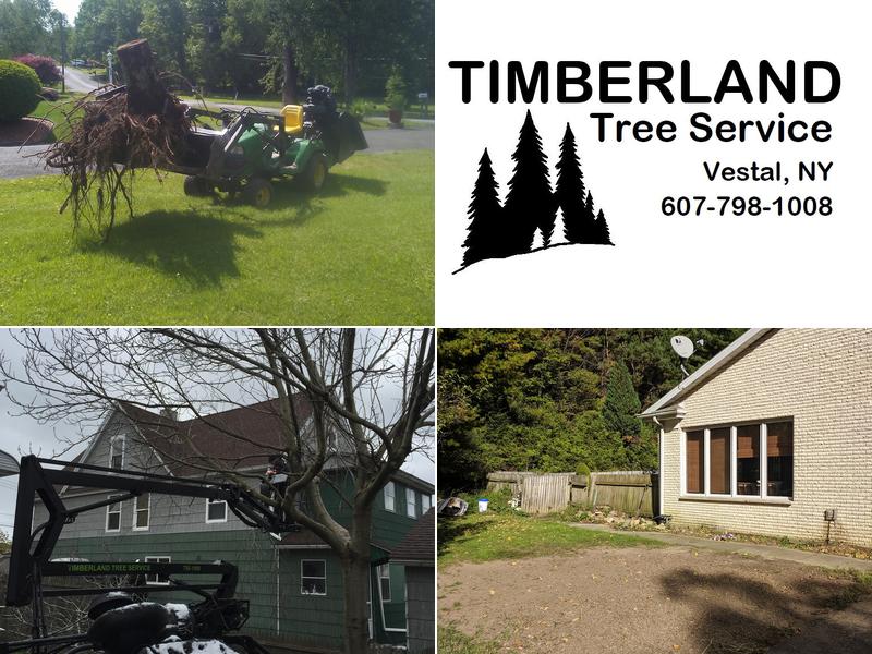 Timberland Tree Service