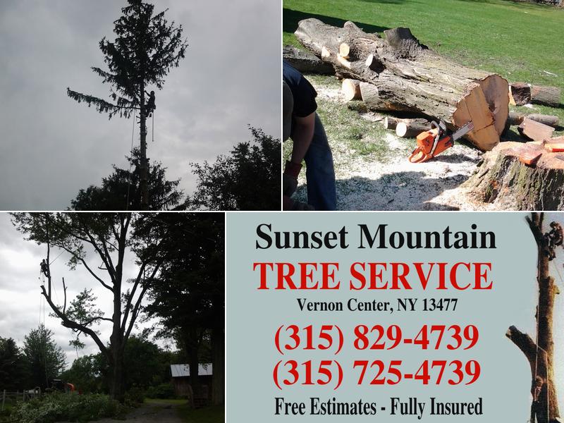 Sunset Mountain Tree