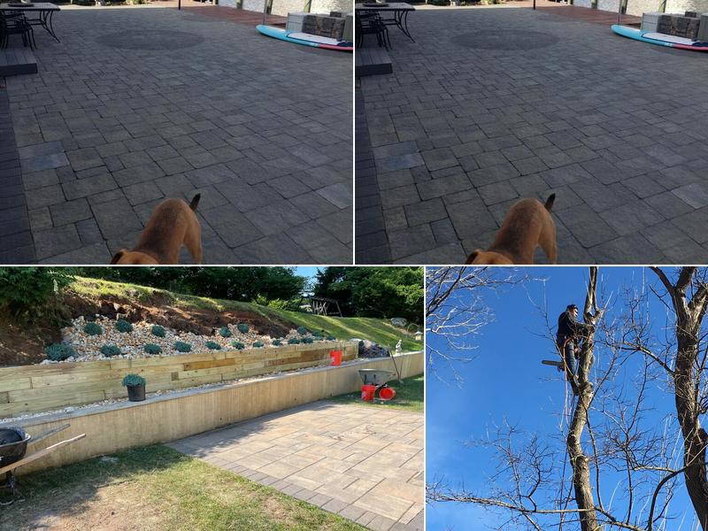 Experienced Landscape and Design