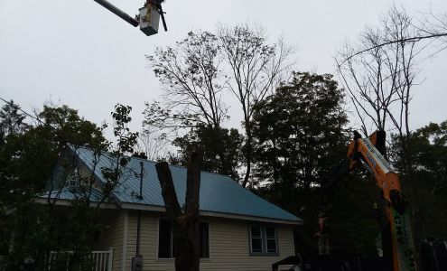 CNY Tree Service 244 Flint Rd, Glen Aubrey New York 13777