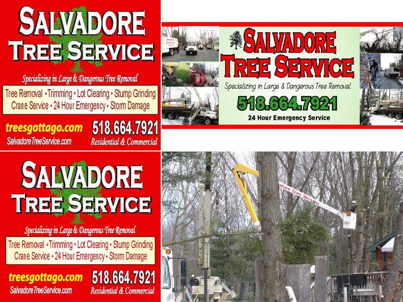 Salvadore Tree Service