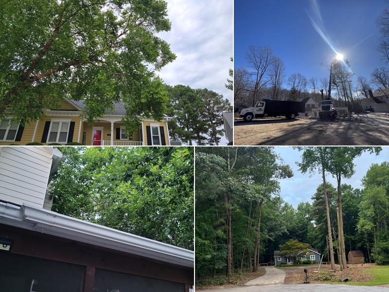 Champion Tree Service