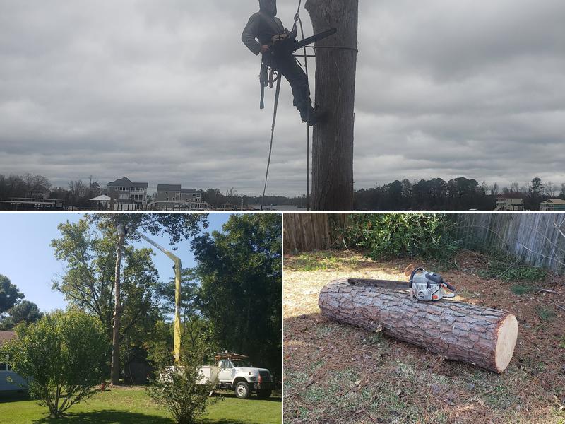 Michael's Tree Service