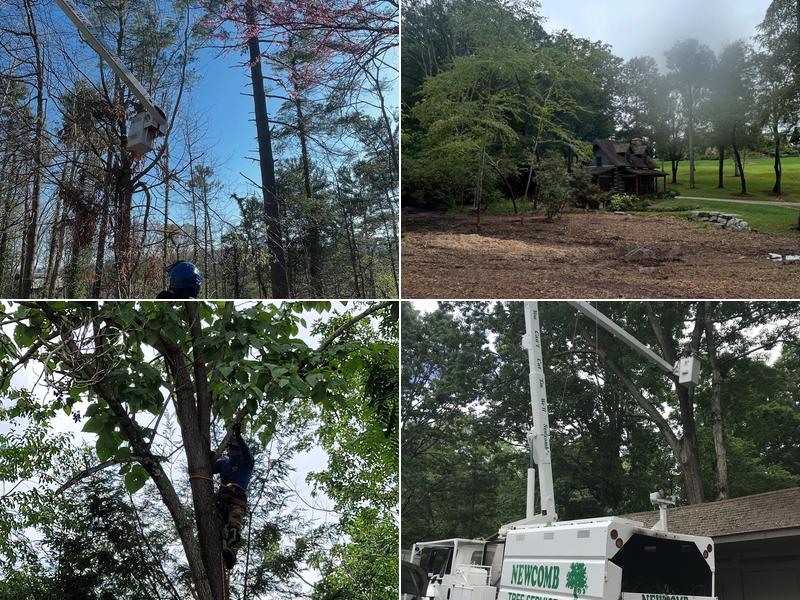 Newcomb Tree Service