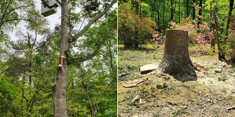 Stevens Tree Service