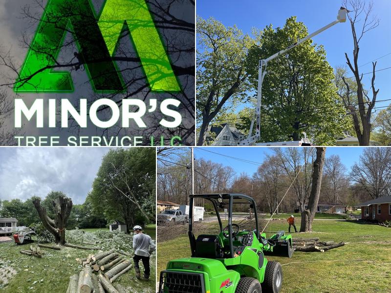 Minor's Tree Service LLC