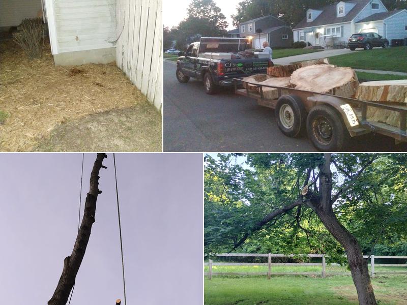 Cj's Lawn And Tree Service