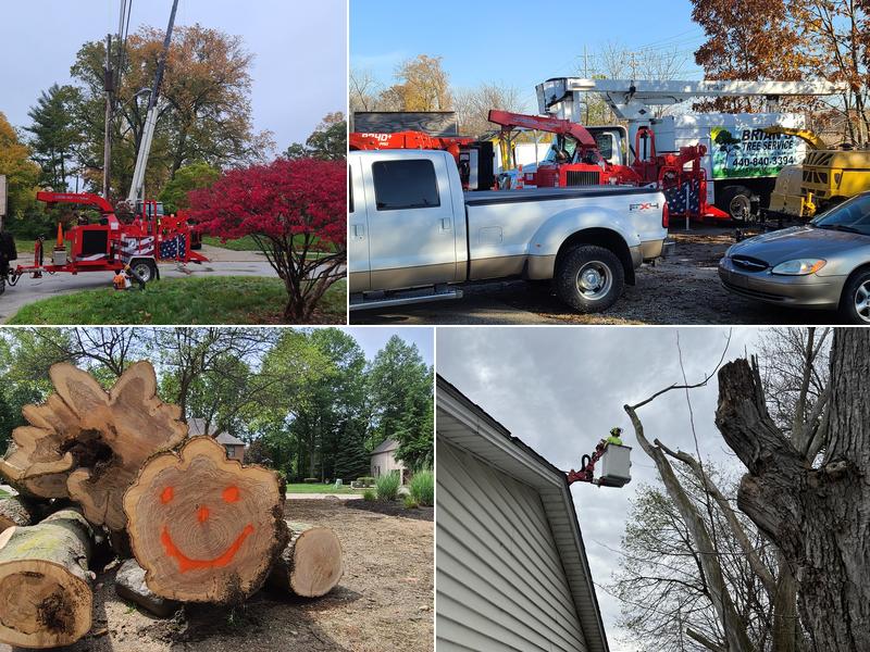 Brian's Tree Service