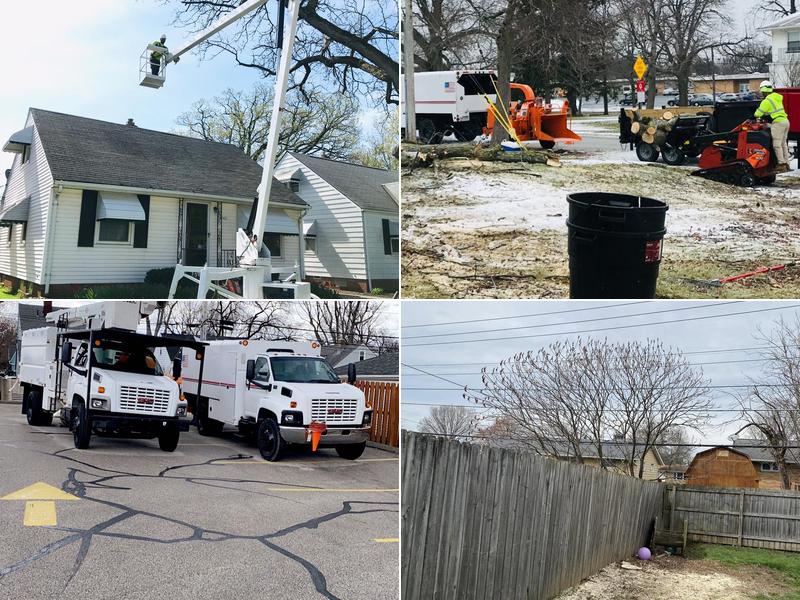 Danny’s Tree Service