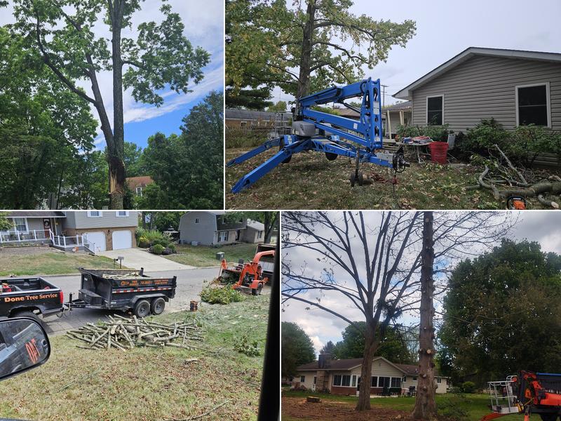 Get'r Done Tree Services LLC