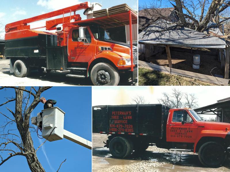 Peterman's Tree & Lawn Services