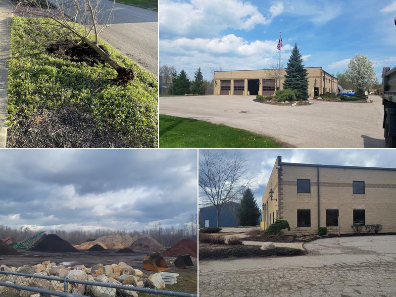 Brobst Tree & Stump Service