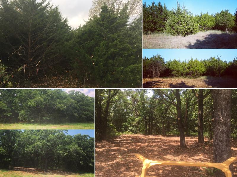 DR Brush Management, LLC