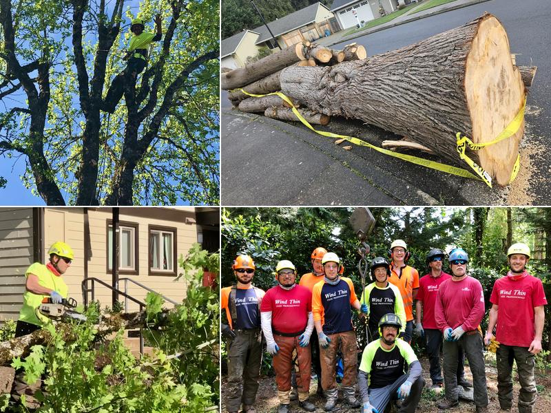 Wind Thin Tree Service, Inc