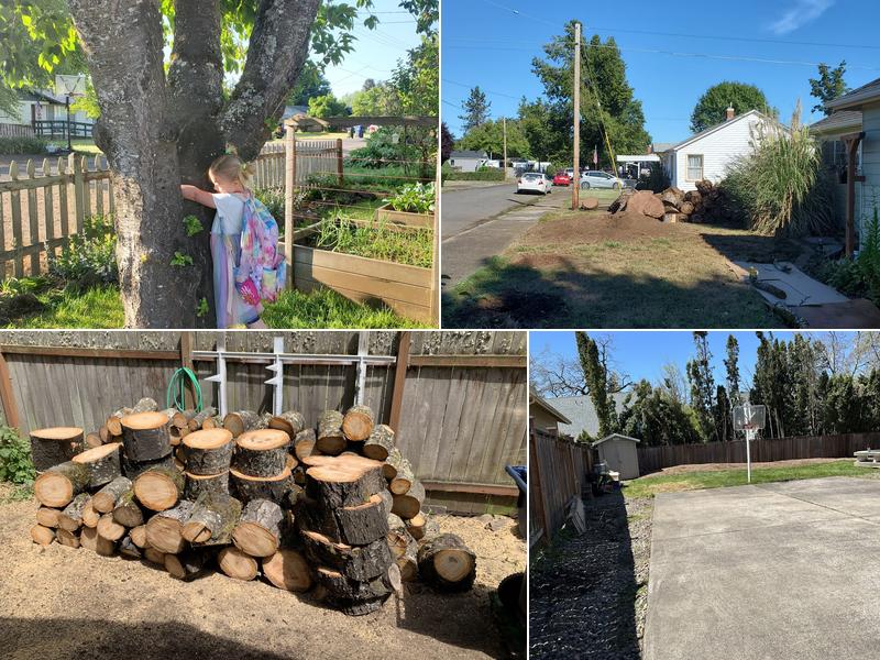 A-1 Ron's Tree & Stump Removal