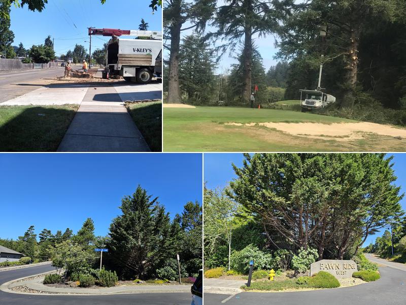 V-Kley's Tree Service LLC