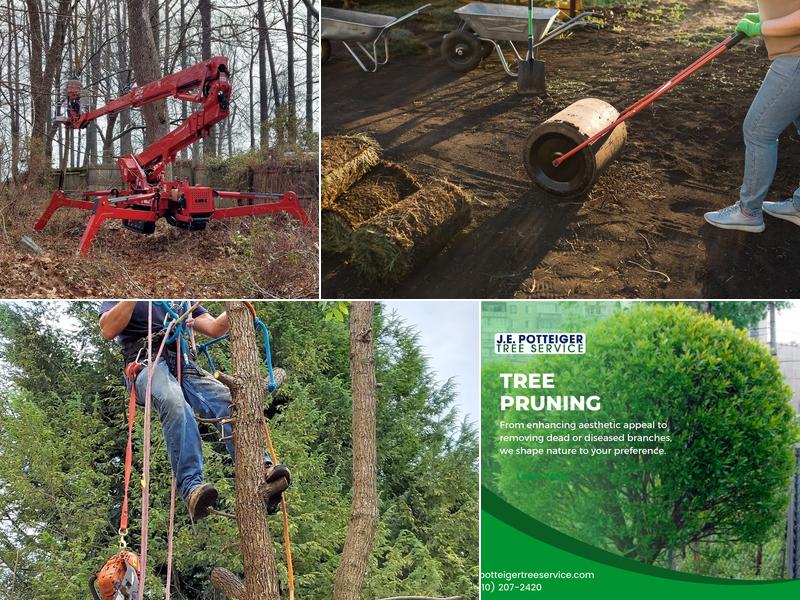 J.E. Potteiger Tree Service