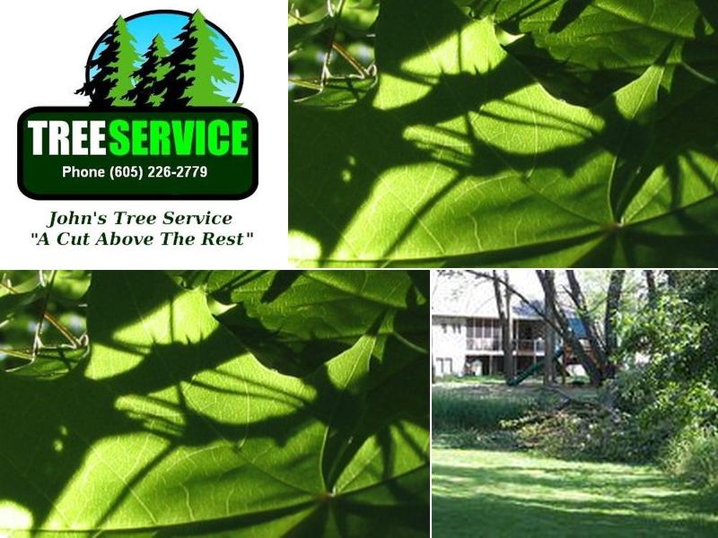 John's Tree Services