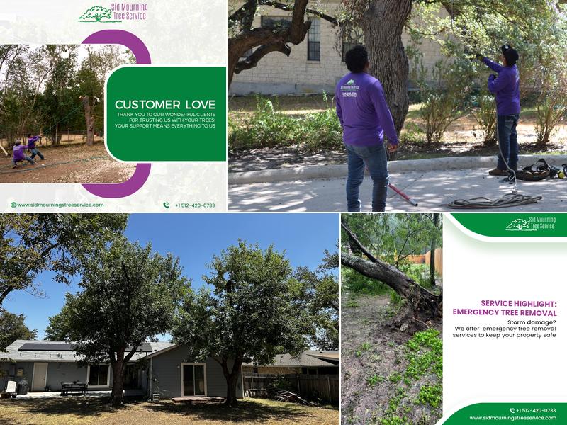 Sid Mourning Tree Service