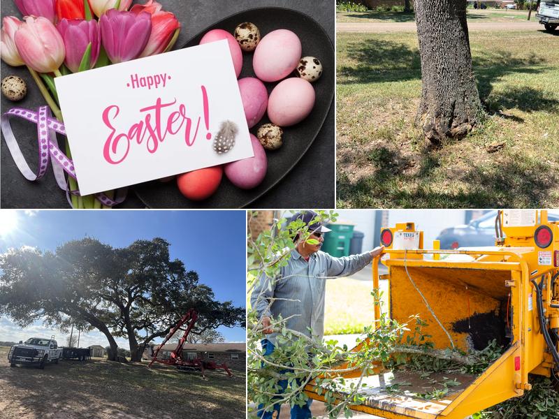 Call Albert Landscaping, LLC