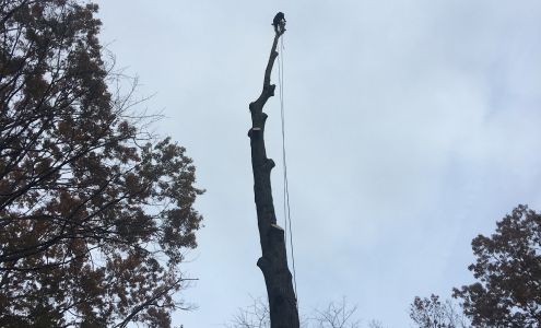 Virginia Tree and Landscapes, LLC 13291 Tower Rd, Unionville Virginia 22567