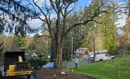 Central Sound Tree Service: Office: