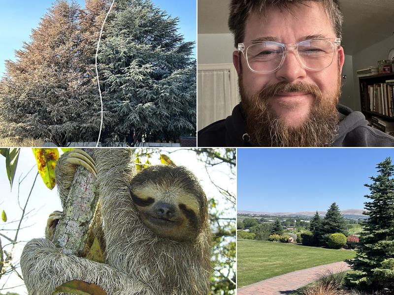 Inland Arbor Tree Preservation