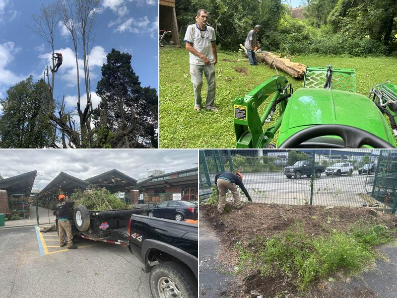 Lumberjacks Tree and Landscaping Services LLC