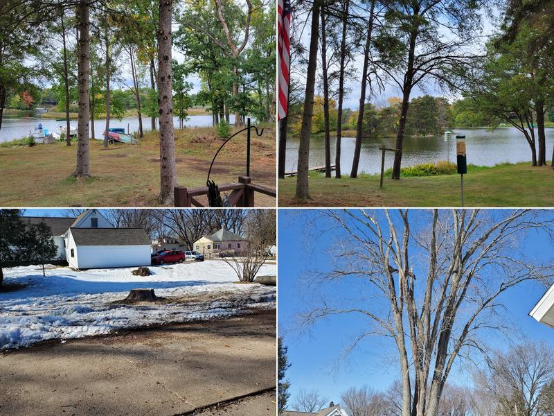 K and S Tree Service