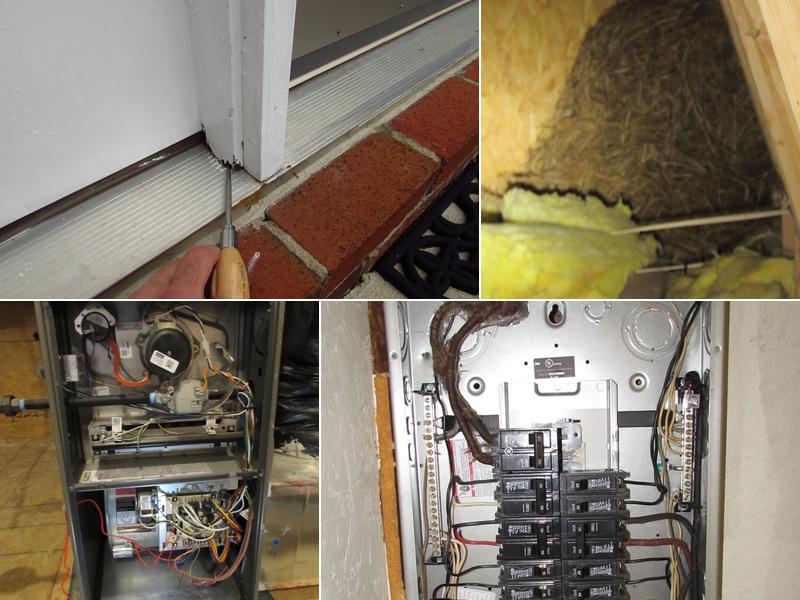 Every Detail Matters Home Inspections