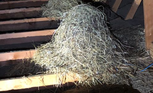 Gold Key Inspection Services, Inc. 8100 US-20, Shipshewana Indiana 46565